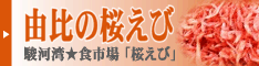 �R�䋙�`�̍����т̂�����