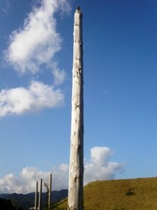 北墳丘墓にある立柱