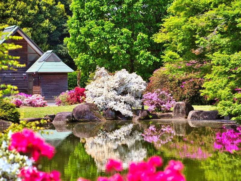 つつじが岡公園の花山日本庭園