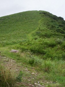 姫ヶ岳への道