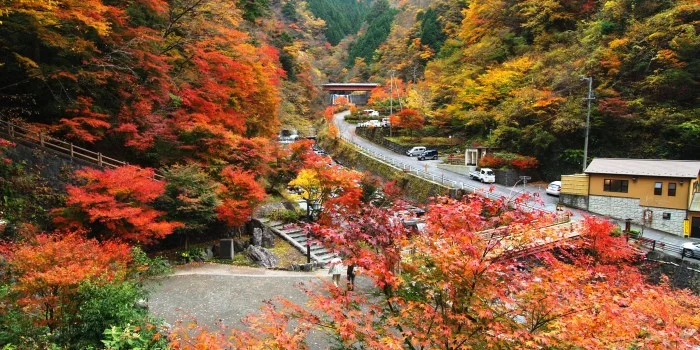梅ケ島温泉郷