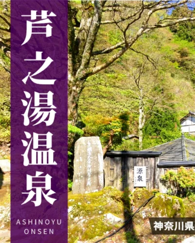 芦之湯温泉