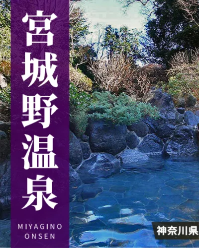 宮城野温泉