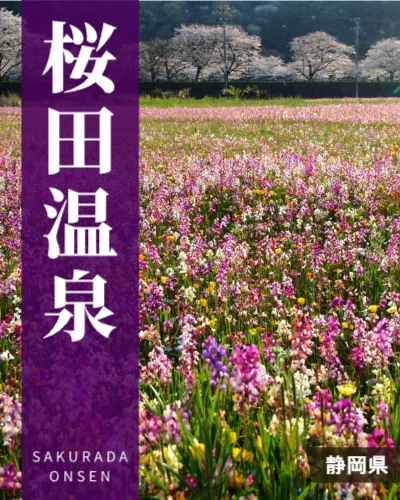 桜田温泉