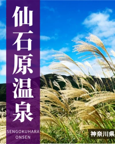 仙石原温泉
