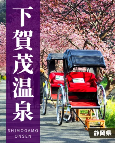 下賀茂温泉