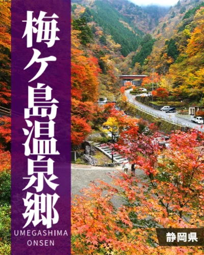 梅ケ島温泉郷