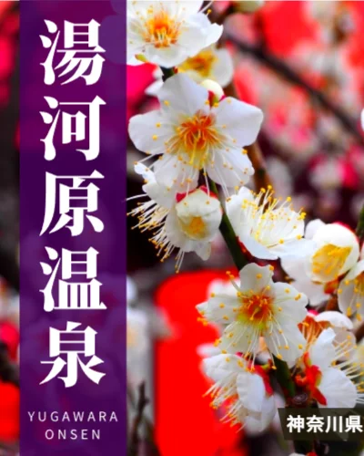 湯河原温泉