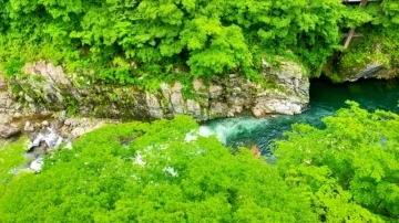 奥鬼怒四湯