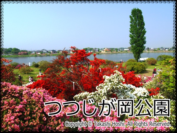 つつじが岡公園