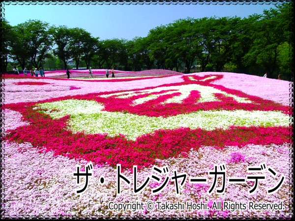 ザ トレジャーガーデン 群馬 国内旅行観光ガイド 名勝 史跡 百景