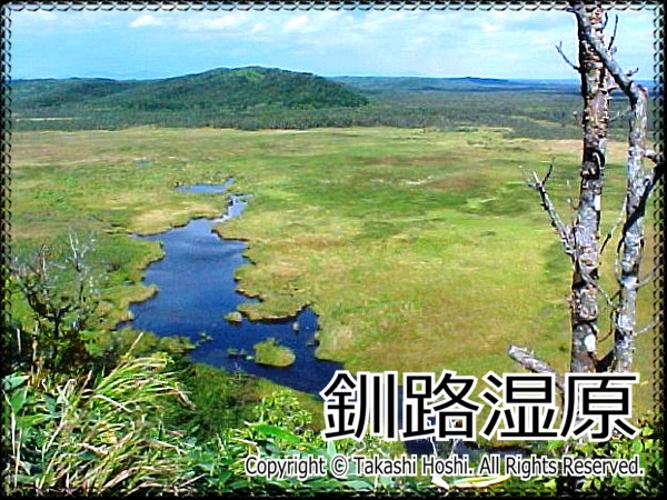 釧路湿原