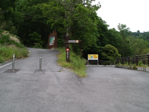 二手に分かれる遊歩道