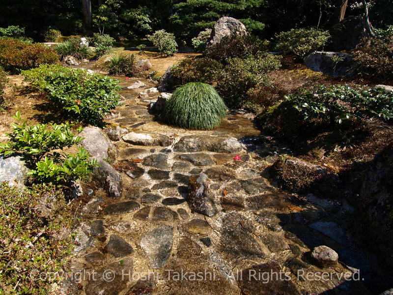 修学院離宮の池泉庭園