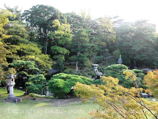 池泉回遊式庭園