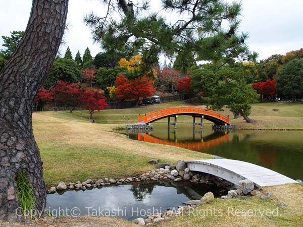 国の名勝 旧大乗院庭園