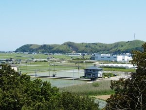 のどかな田園風景