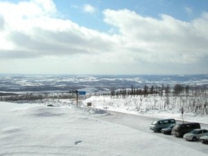 摩周湖の駐車場側の景色