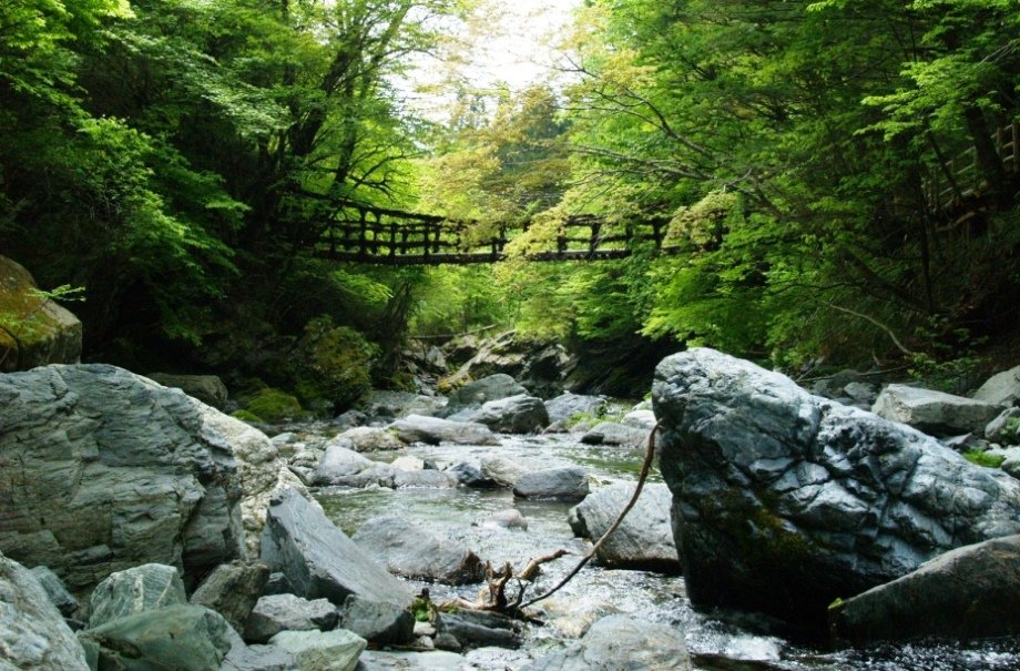 奥祖谷二重かずら橋