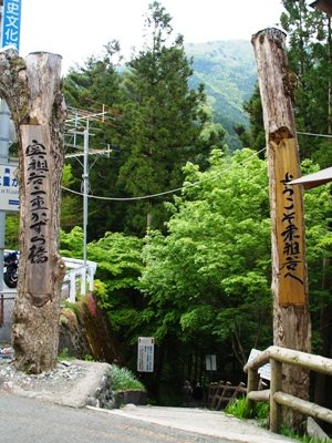 貴重なかづら橋