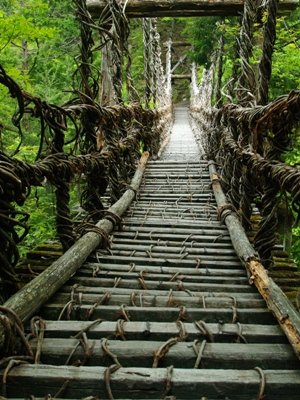 奥祖谷二重かずら橋の男橋