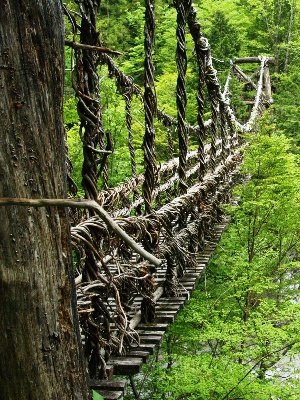 奥祖谷二重かずら橋