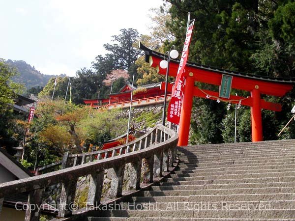 熊野那智大社の参道に建つ鳥居