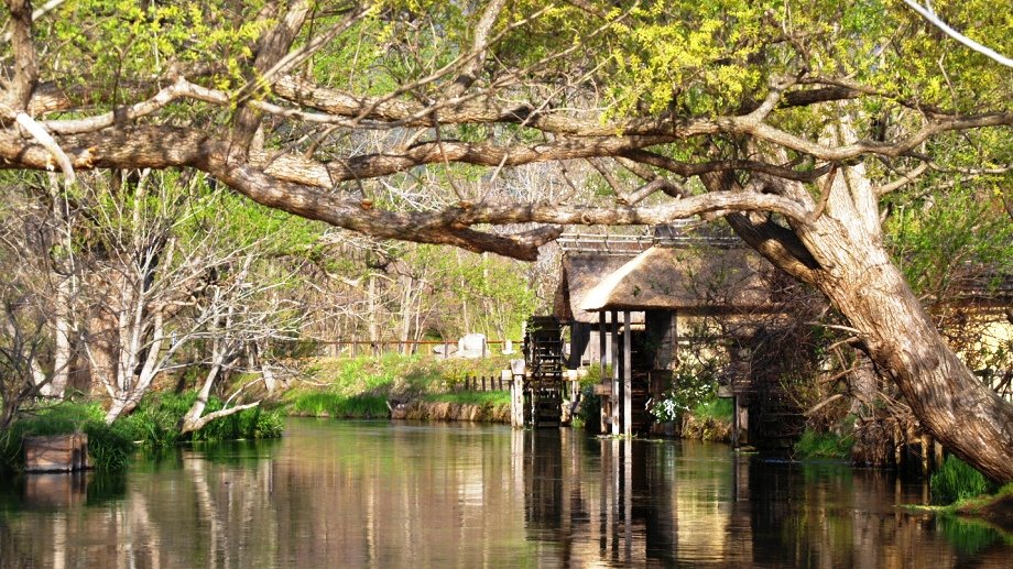 大王わさび農場の水車小屋