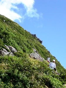 山登り