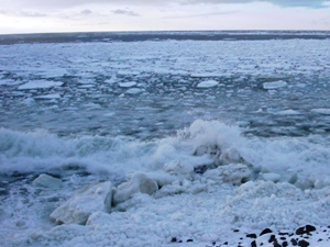 流れ着く流氷