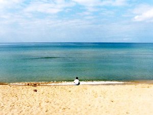 増穂浦海岸の砂浜