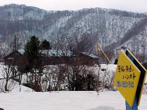 幸福の黄色いハンカチ 想い出ひろば