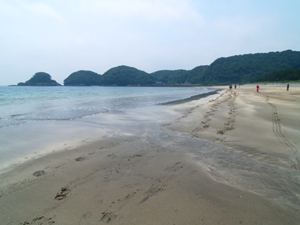 稲村ジェーンのロケ地