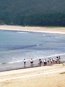 園児も喜ぶ浜辺