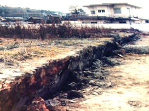 震災当初の野島断層