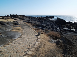 野島崎の先端へと伸びる遊歩道