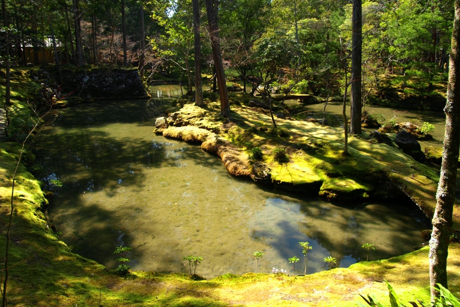 西芳寺庭園