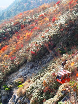 山肌の紅葉が美しい