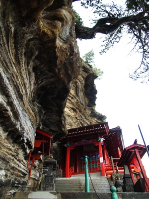 崖の地層と樹木