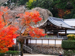 大野寺