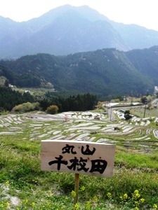 ベンチに座って見る丸山千枚田