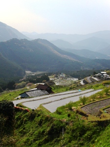 のどかな農村