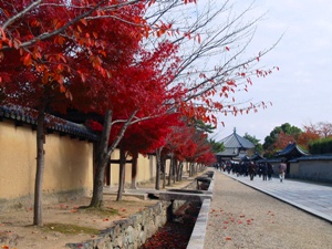 東院伽藍への参道