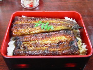 名物 うなぎ料理