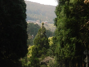 遠くに青岸渡寺の三重塔