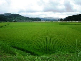 のどかな田園風景