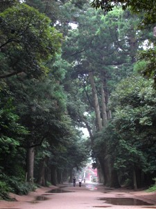 鹿島の森 参道