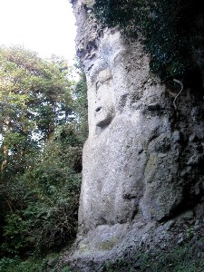 風雨にさらされ