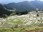 丸山千枚田