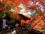 石山寺
